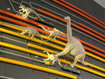 福井県立恐竜博物館に投稿された画像（2025/11/3）