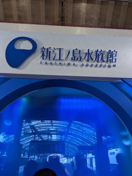 新江ノ島水族館に投稿された画像（2025/11/3）