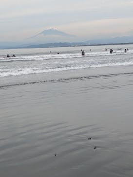 新江ノ島水族館に投稿された画像（2025/11/3）