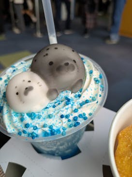 新江ノ島水族館に投稿された画像（2025/11/3）