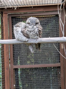 こども動物自然公園（埼玉県公園緑地協会）に投稿された画像（2025/11/3）