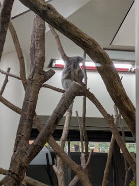 こども動物自然公園（埼玉県公園緑地協会）に投稿された画像（2025/11/3）