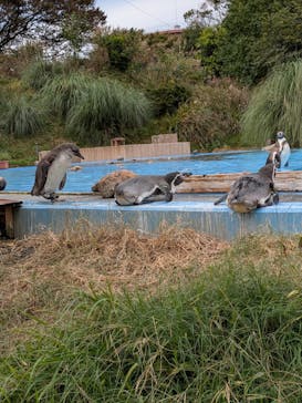 こども動物自然公園（埼玉県公園緑地協会）に投稿された画像（2025/11/3）