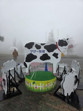 マザー牧場に投稿された画像（2025/11/3）