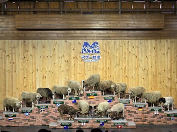 マザー牧場に投稿された画像（2025/11/3）