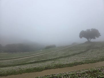 マザー牧場に投稿された画像（2025/11/3）