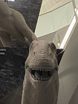 福井県立恐竜博物館に投稿された画像（2025/11/3）