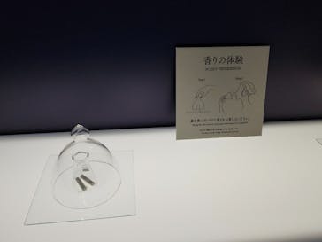 正倉院 THE SHOW ―感じる。いま、ここにある奇跡―　@上野の森美術館に投稿された画像（2025/11/3）