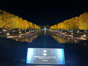 国営昭和記念公園 秋の夜散歩に投稿された画像（2025/11/3）