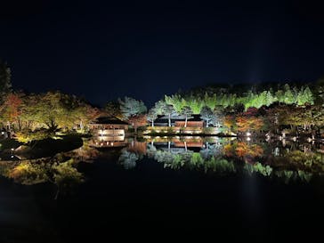 国営昭和記念公園 秋の夜散歩に投稿された画像（2025/11/3）