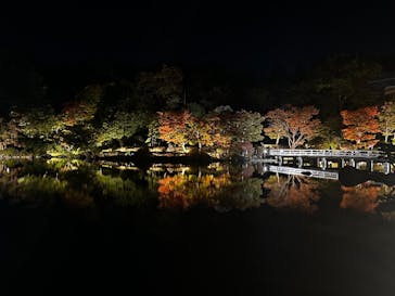 国営昭和記念公園 秋の夜散歩に投稿された画像（2025/11/3）