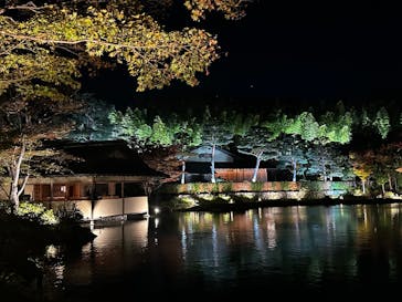 国営昭和記念公園 秋の夜散歩に投稿された画像（2025/11/3）