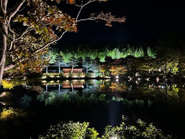 国営昭和記念公園 秋の夜散歩に投稿された画像（2025/11/3）
