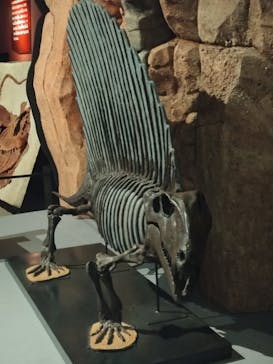 特別展「大絶滅展―生命史のビッグファイブ」に投稿された画像（2025/11/3）