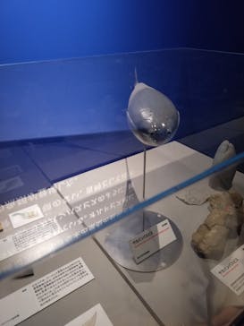 特別展「大絶滅展―生命史のビッグファイブ」に投稿された画像（2025/11/3）