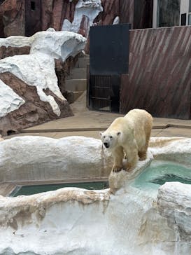 恩賜上野動物園に投稿された画像（2025/11/3）