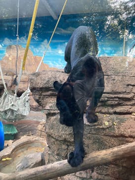 天王寺動物園に投稿された画像（2025/11/3）