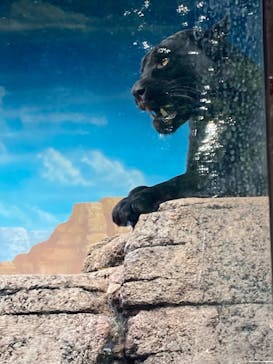 天王寺動物園に投稿された画像（2025/11/3）