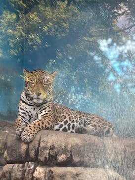 天王寺動物園に投稿された画像（2025/11/3）