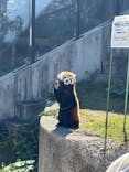 名古屋市東山動植物園に投稿された画像（2025/11/3）