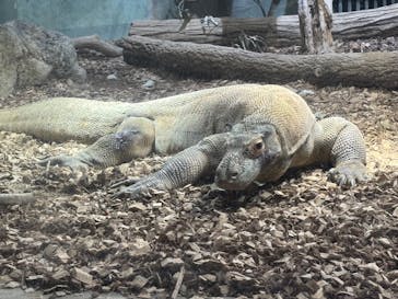 名古屋市東山動植物園に投稿された画像（2025/11/3）