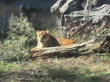 名古屋市東山動植物園に投稿された画像（2025/11/3）