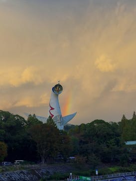 万博記念公園に投稿された画像（2025/11/3）