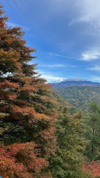 昇仙峡ロープウェイに投稿された画像（2025/11/3）