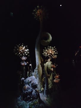 金曜ロードショーとジブリ展（静岡展）に投稿された画像（2025/11/3）