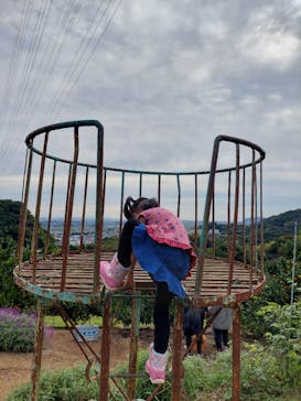 あかざと園に投稿された画像（2025/11/3）