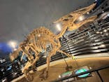 福井県立恐竜博物館に投稿された画像（2025/11/3）