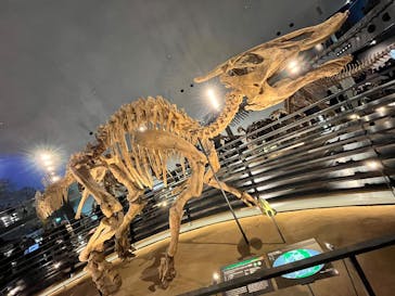 福井県立恐竜博物館に投稿された画像（2025/11/3）