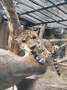 那須どうぶつ王国に投稿された画像（2025/11/3）