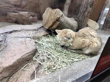 那須どうぶつ王国に投稿された画像（2025/11/3）