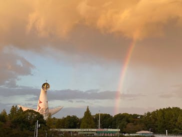 万博記念公園に投稿された画像（2025/11/3）