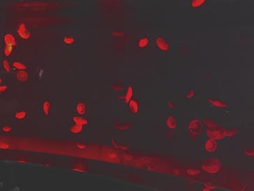 サンシャイン水族館に投稿された画像（2025/11/3）