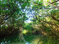 Lulu Sun（ルル サン）に投稿された画像（2025/11/3）