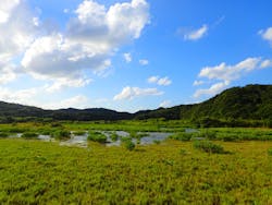 Lulu Sun（ルル サン）に投稿された画像（2025/11/3）