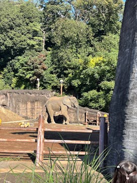 多摩動物公園に投稿された画像（2025/11/3）