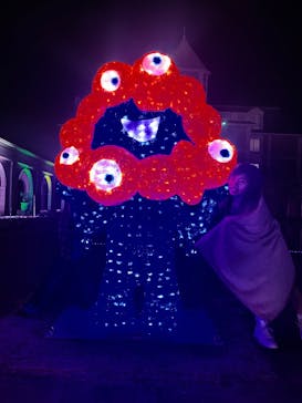 神戸イルミナージュに投稿された画像（2025/11/3）