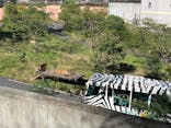 東京動物園協会_多摩動物公園に投稿された画像（2025/11/3）