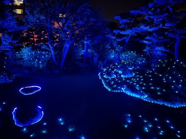 博多ライトアップウォーク実行委員会に投稿された画像（2025/11/3）