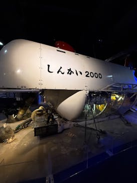 新江ノ島水族館に投稿された画像（2025/11/3）