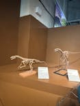 特別展「大絶滅展―生命史のビッグファイブ」に投稿された画像（2025/11/3）