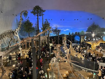 福井県立恐竜博物館に投稿された画像（2025/11/3）