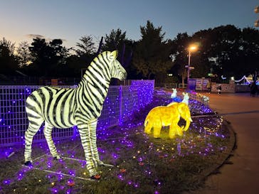東武動物公園に投稿された画像（2025/11/3）
