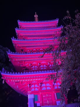 博多ライトアップウォーク実行委員会に投稿された画像（2025/11/3）