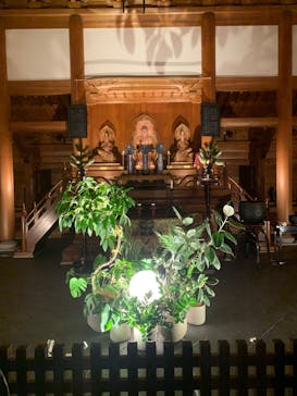 博多ライトアップウォーク実行委員会に投稿された画像（2025/11/3）