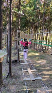 フォレストアドベンチャー・御殿場に投稿された画像（2025/11/3）