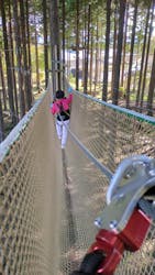 フォレストアドベンチャー・御殿場に投稿された画像（2025/11/3）